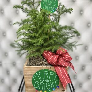 Merry & Bright Planter