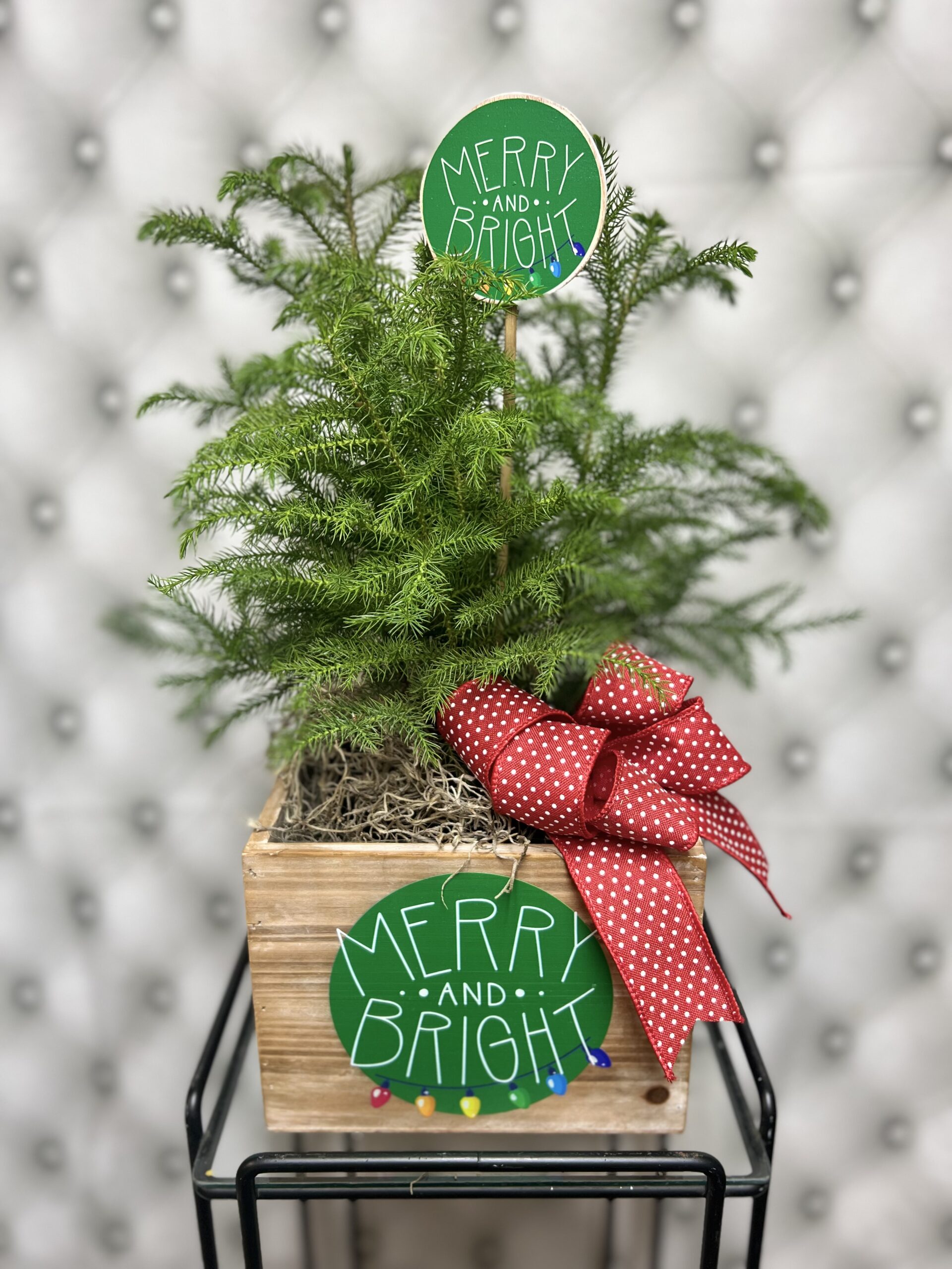 Merry & Bright Planter