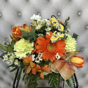 Butterfly Bliss
